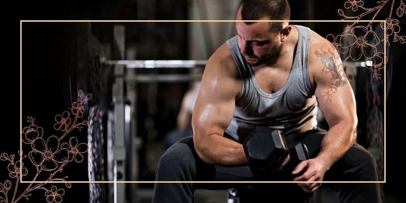 سیستم تمرینی جاینت ست