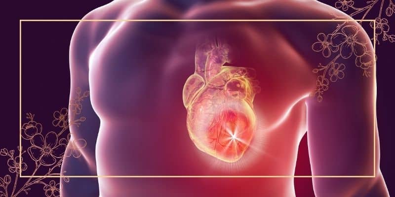 تمرینات ورزشی برای افزایش استقامت قلبی عروقی