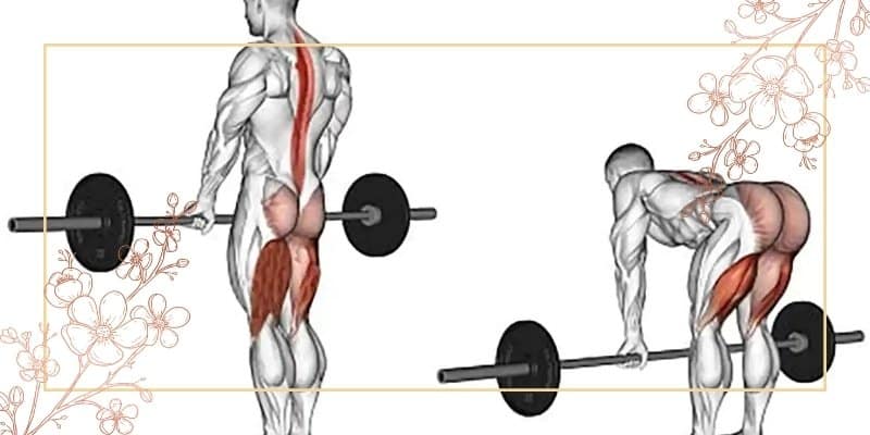 بهترین حرکات برای تقویت فیله کمر